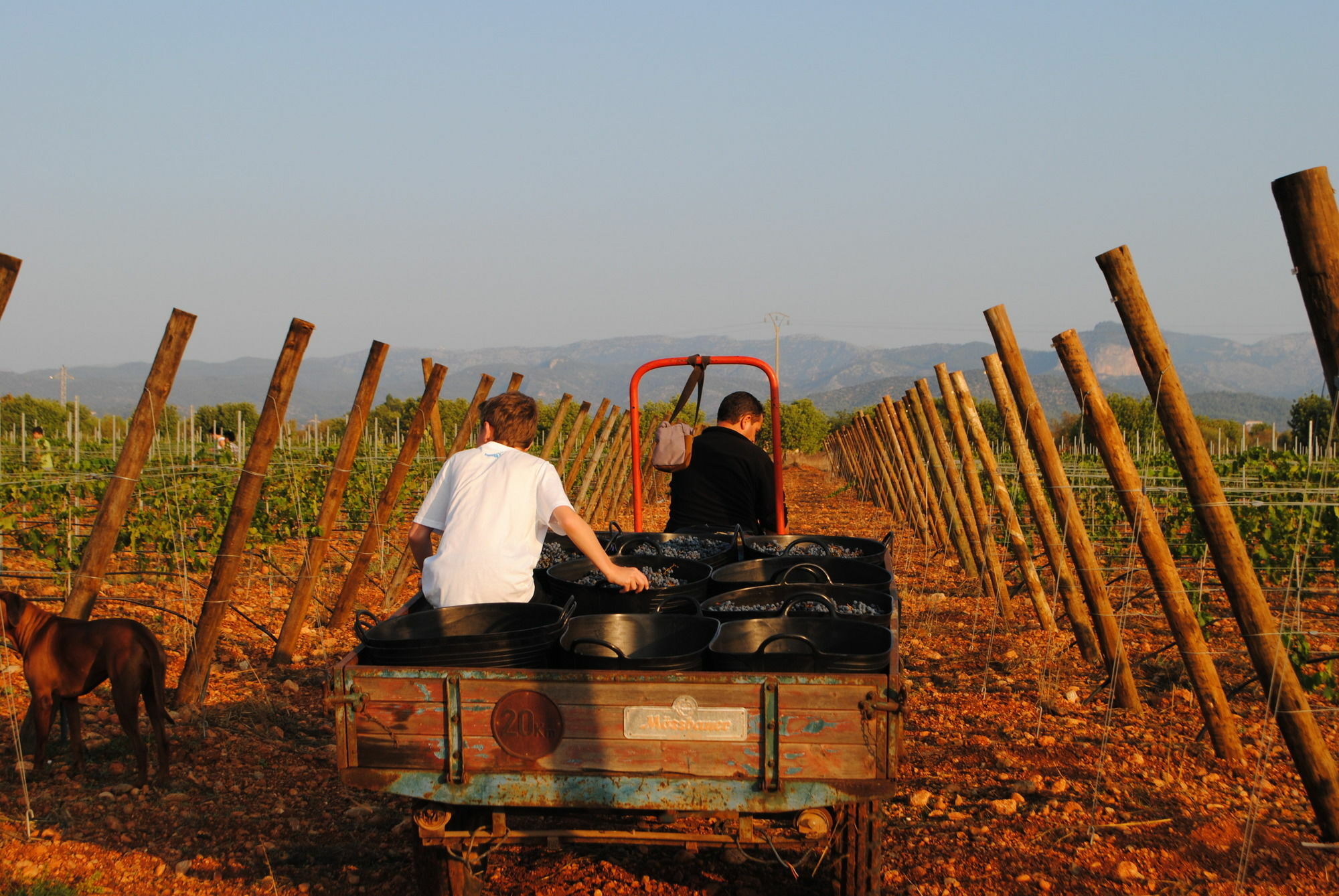 Weingut & Landhotel Can Davero Binissalem Exterior foto